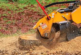 Lawn Drainage Solutions in Hale Center, TX